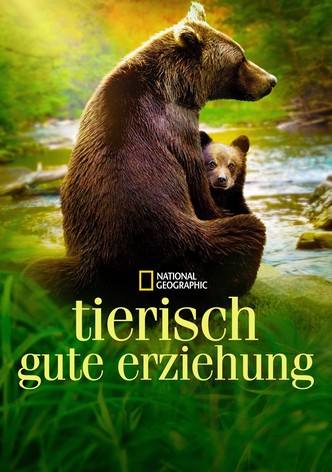 Tierisch gute Erziehung