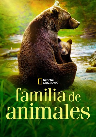 Familia de animales