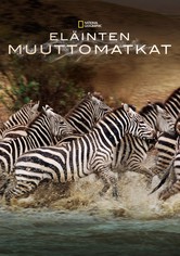 Eläinten muuttomatkat