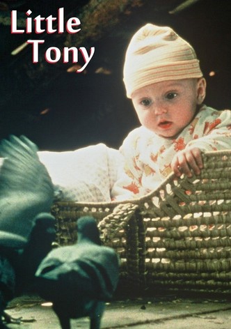 Pequeño Tony