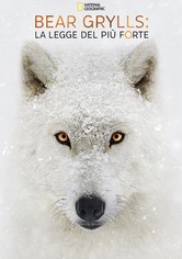 Bear Grylls: la legge del più forte