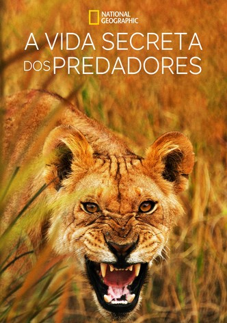 A Vida Secreta dos Predadores