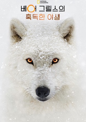 베어 그릴스의 혹독한 야생