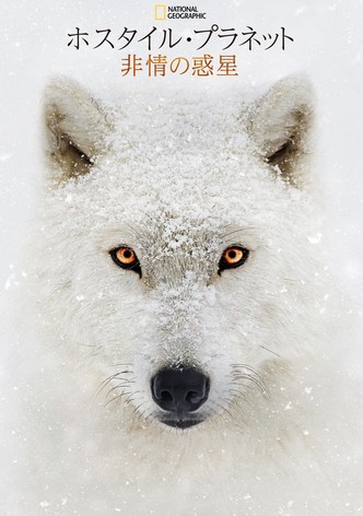 ホスタイル・プラネット 非情の惑星