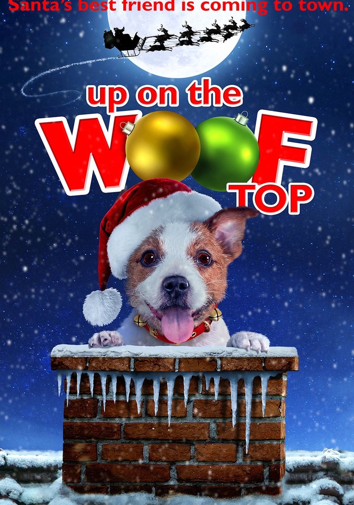 Up on the Wooftop