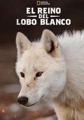 El reino del lobo blanco