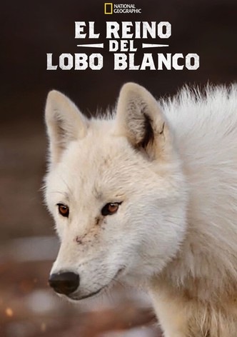 El reino del lobo blanco