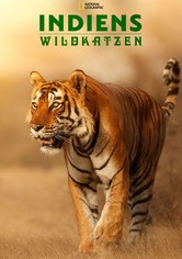 Die Wildkatzen Indiens