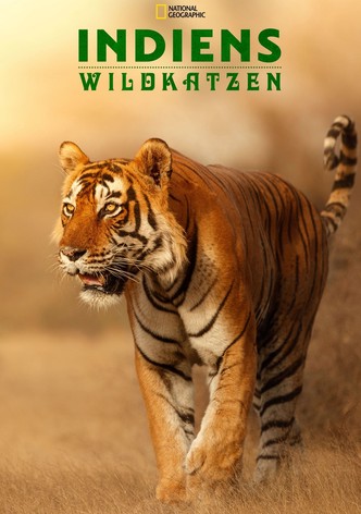 Die Wildkatzen Indiens