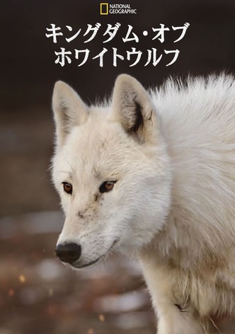 キングダム・オブ・ホワイトウルフ