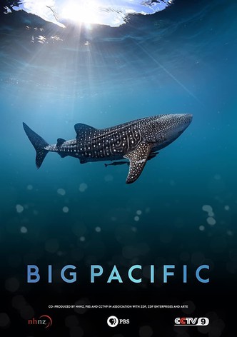 Big Pacific