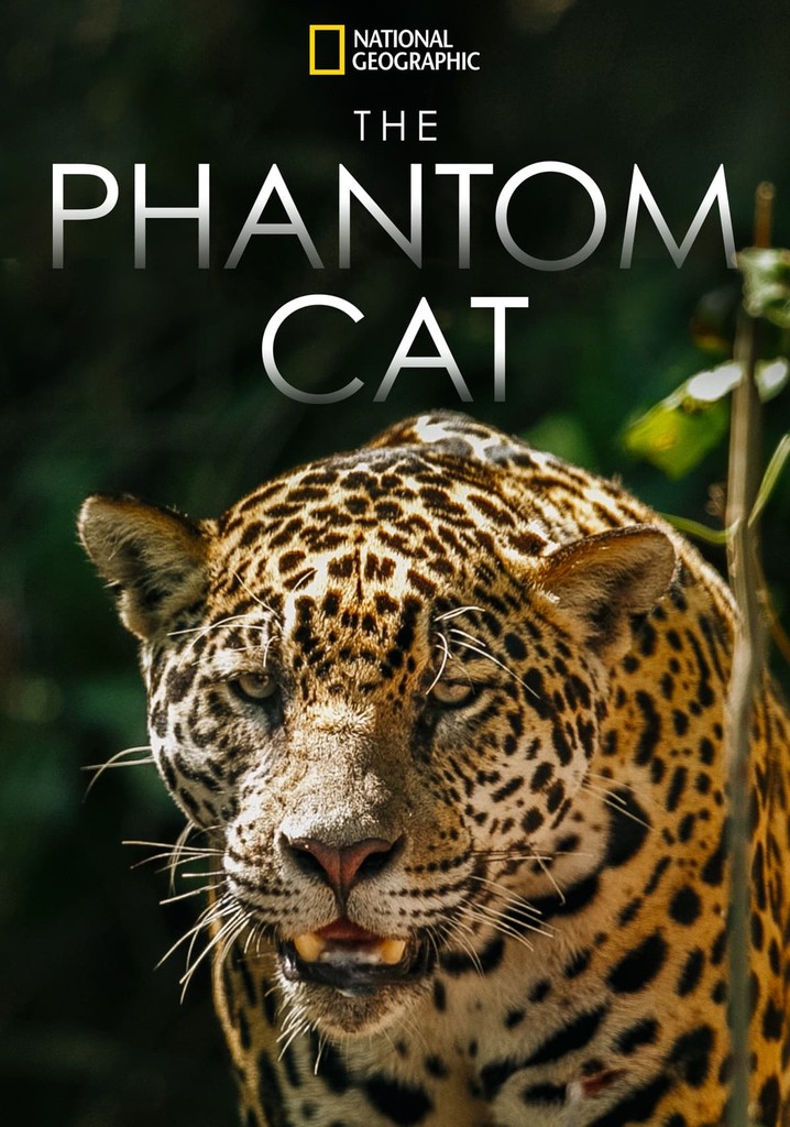 The Phantom Cat: Jaguar