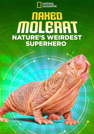 Naked Molerat: Nature’s Weirdest Superhero
