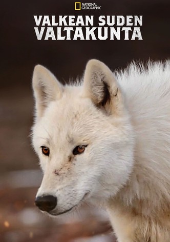 Valkean suden valtakunta