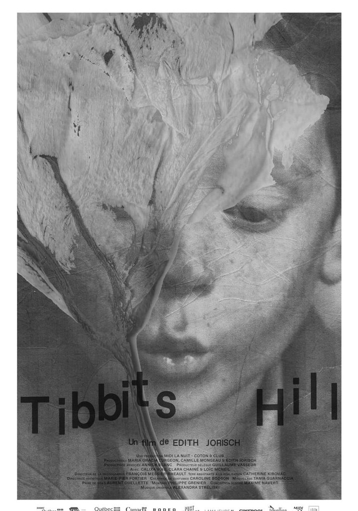 Tibbits Hill