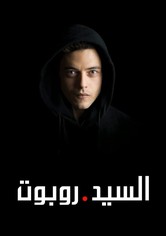 السيد روبوت