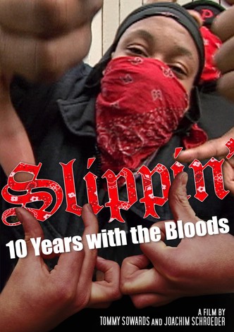 Slippin': Ten Years with the Bloods
