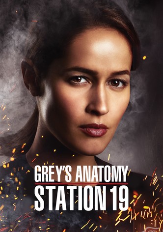 Grey's Anatomy : Station 19