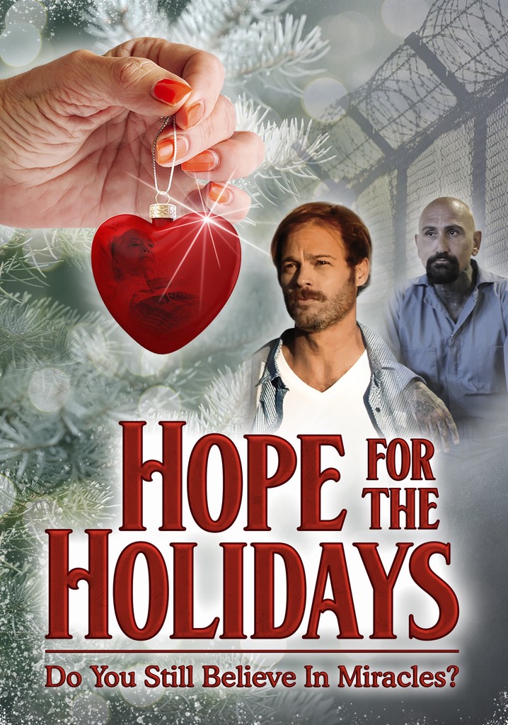 Hope For The Holidays película Ver online en español