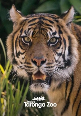 Taronga Zoo Hautnah - Staffel 2