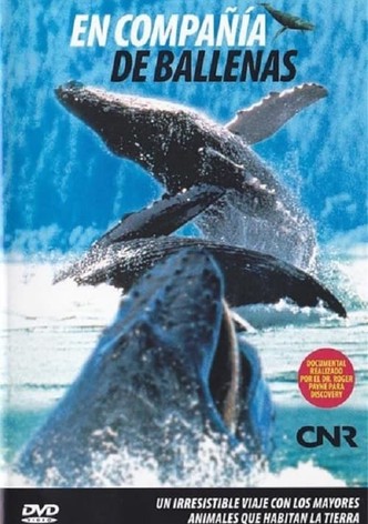 In the Company of Whales