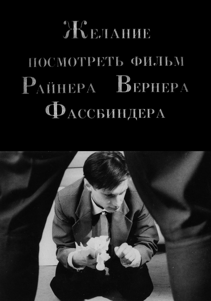 The Desire to See a Film of Rainer Werner Fassbinder