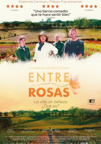 Entre rosas