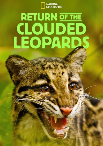 Return of the Clouded Leopards