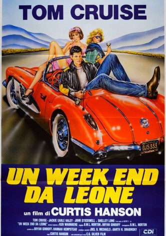 Un week end da leone