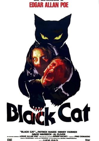 Black Cat: Gatto nero