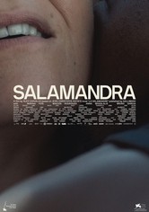 The Salamander