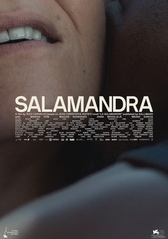 The Salamander