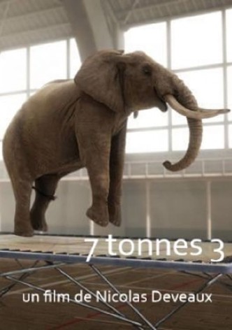 7 Tonnes 2