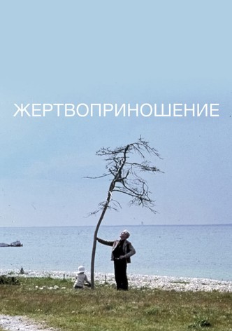 Жертвоприношение