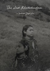 The Last Rhododendron