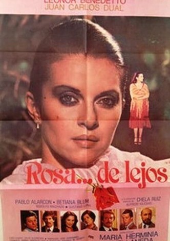 Rosa de lejos