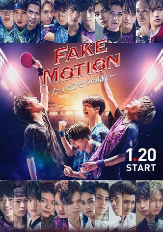 FAKE MOTION: Only One Wish