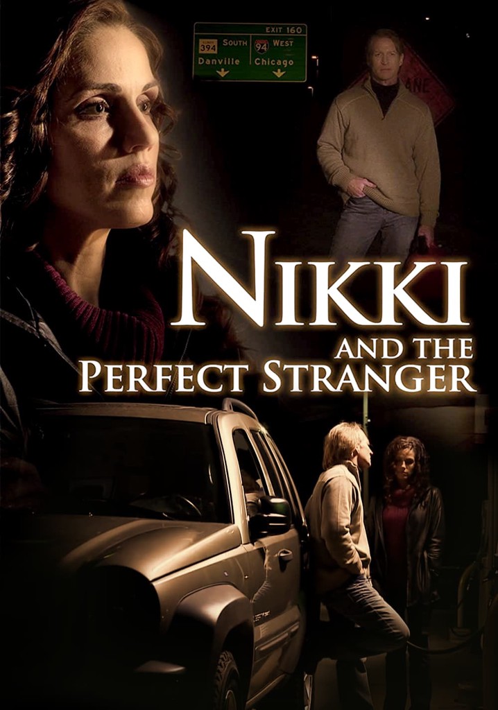 Nikki and the Perfect Stranger