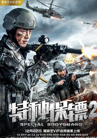 特种保镖2