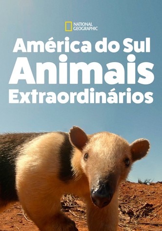 América do Sul: Animais Extraordinários