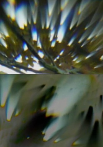 Through the Lens