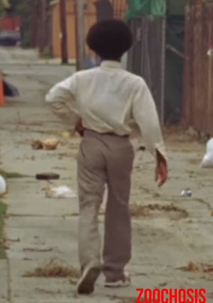 Zoochosis Presents: Hooey