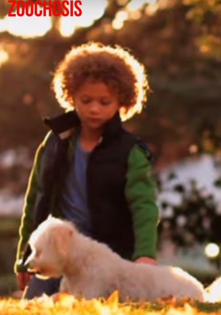 Zoochosis Presents: Stray