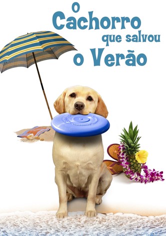 O Cachorro que Salvou o Verão