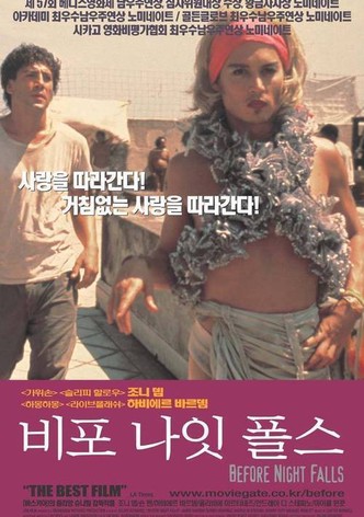 비포 나잇 폴스