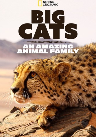 Big Cats: An Amazing Animal Family