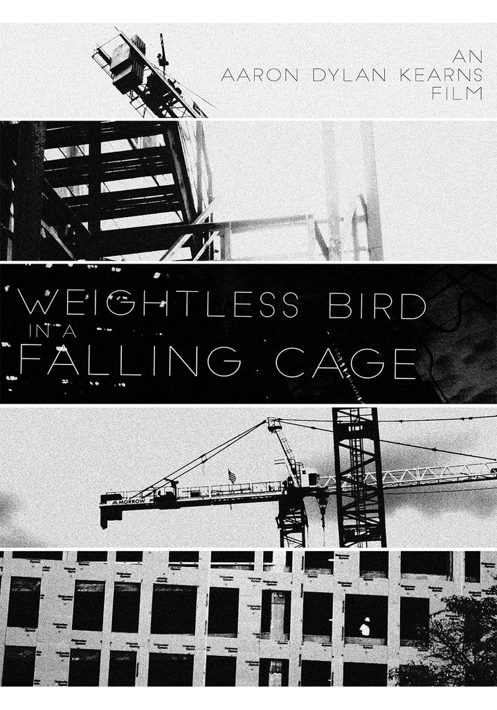 Weightless Bird In A Falling Cage