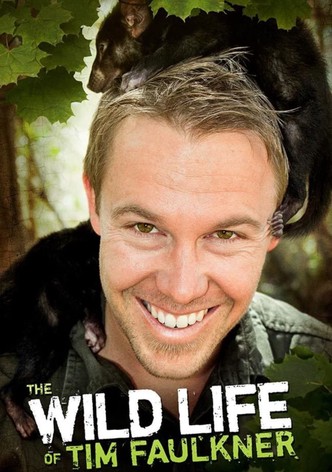 The Wild Life of Tim Faulkner - 季 3