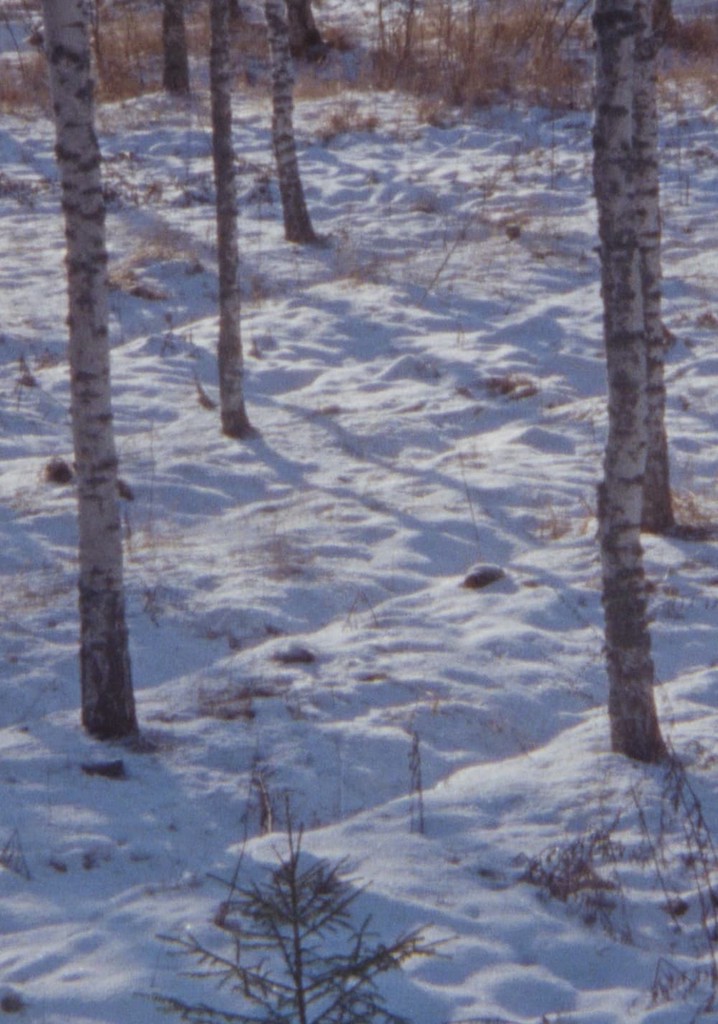Haukijärvi, February