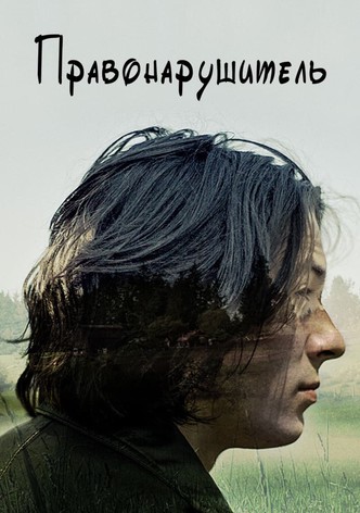 Правонарушитель